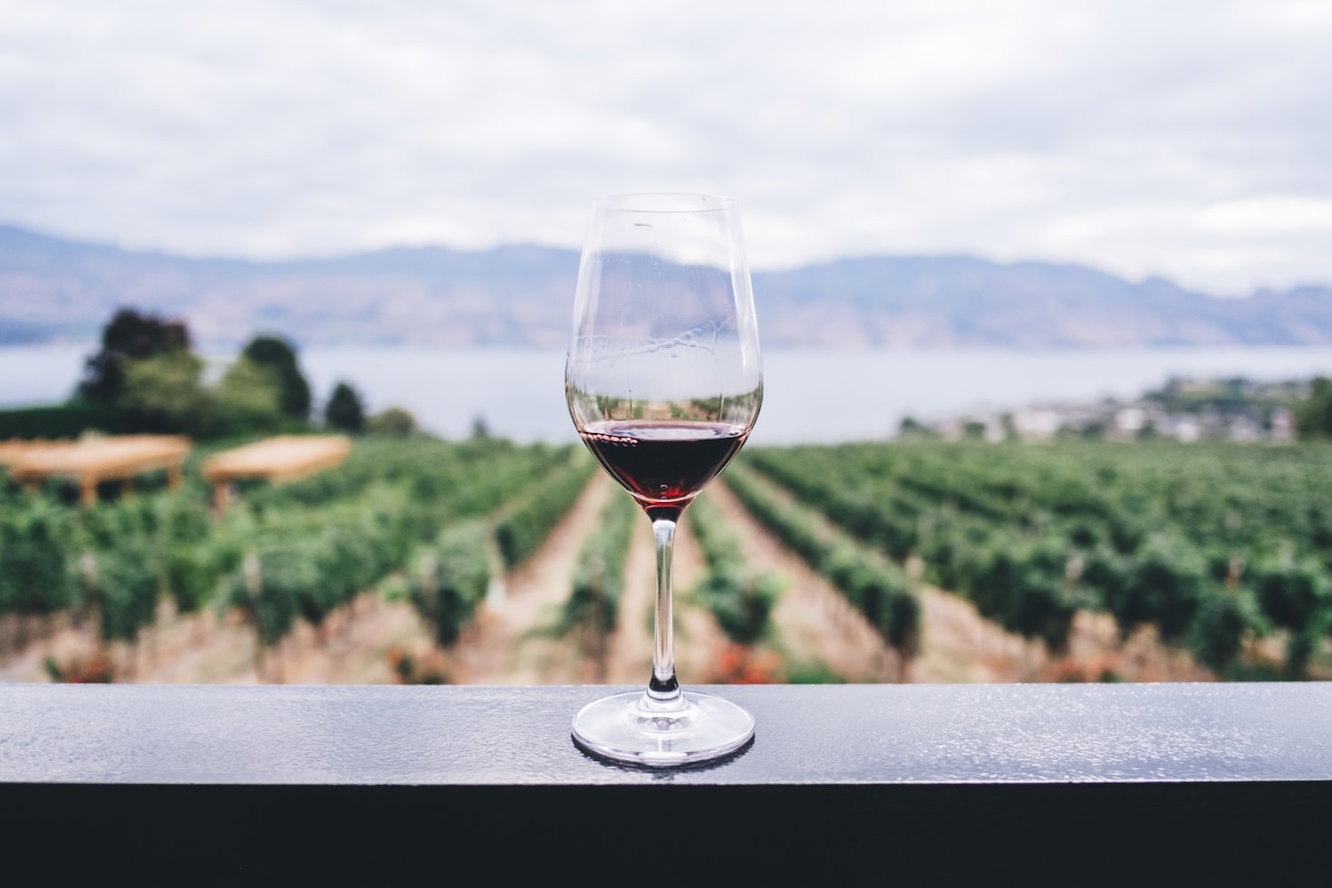 David y Hoa: la inspiración detrás de cada vino